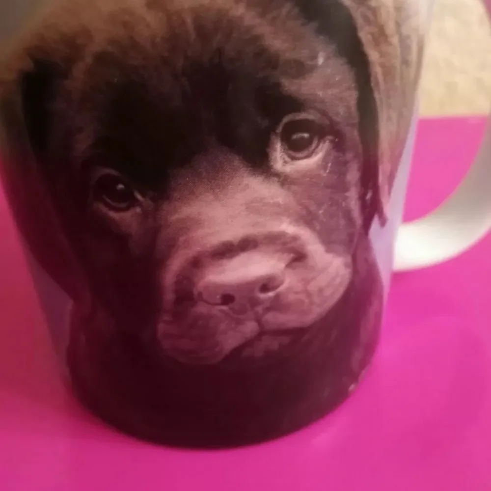 Lang Mugs Chocolate Labrador By John Weiss& Greenwich Artwork Signed 2004